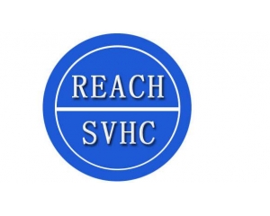 REACHЧڶ?REACHzyڶ